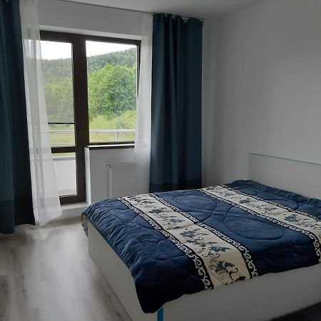 Dorin Colina Marei Apartment Sinaia Exterior photo