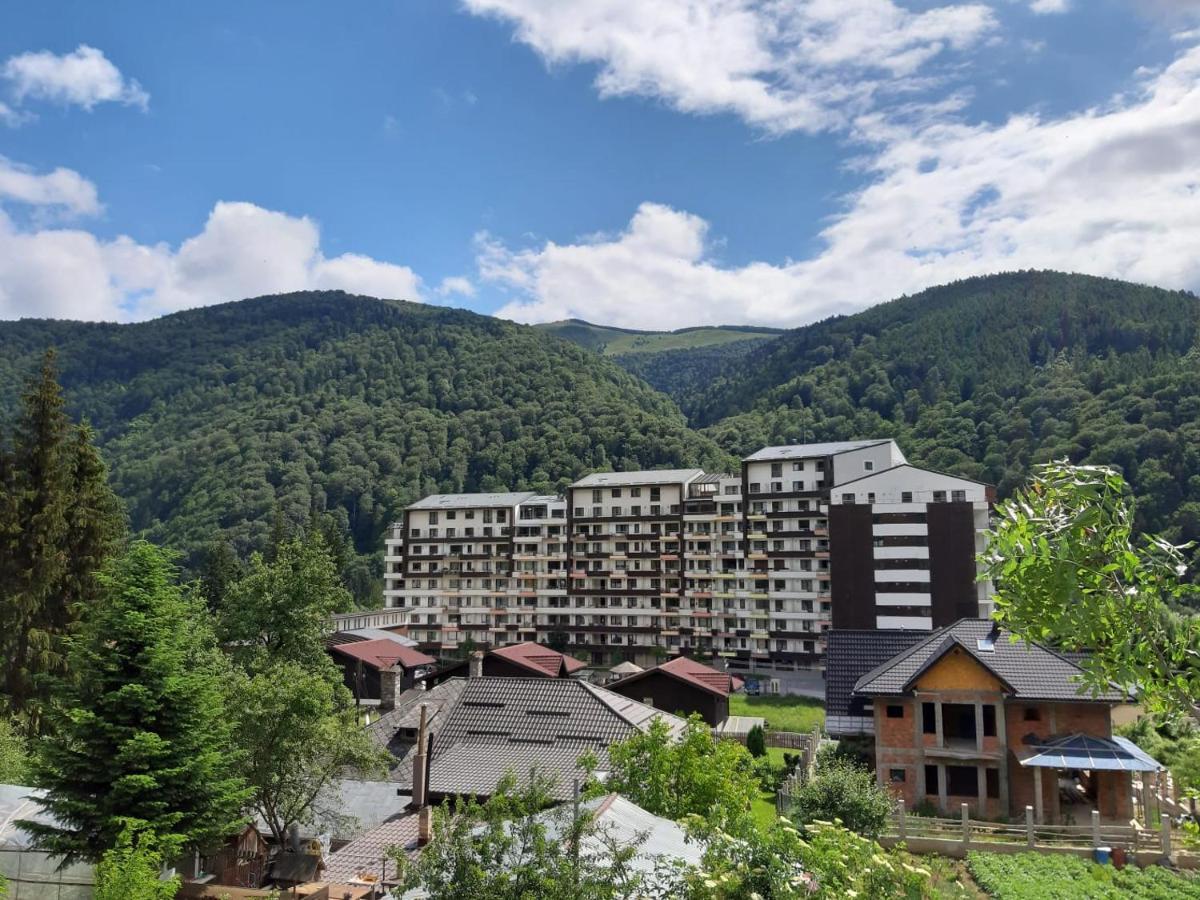 Dorin Colina Marei Apartment Sinaia Exterior photo